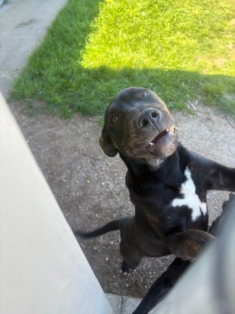 Gallery image: Junior