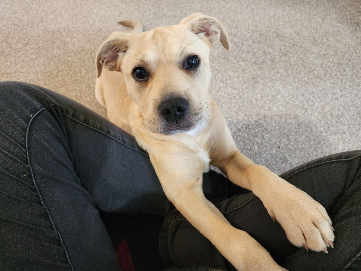 Gallery image: Kelly