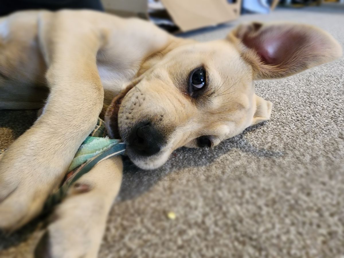 Gallery image: Kelly