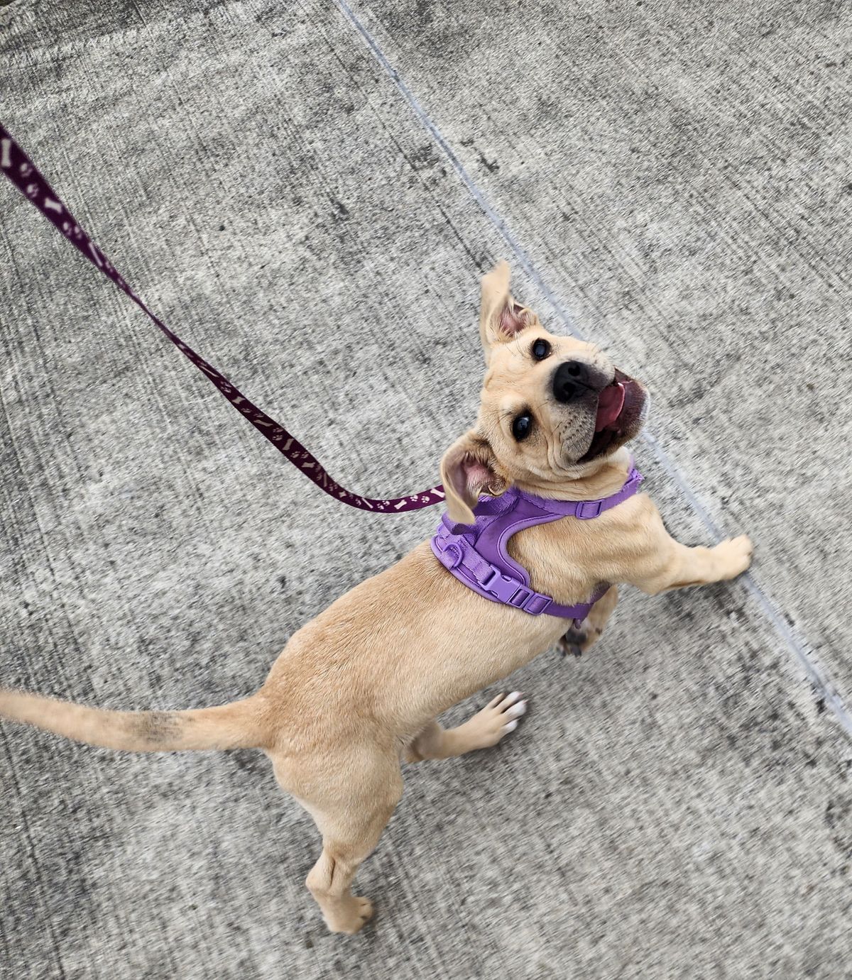 Gallery image: Kelly