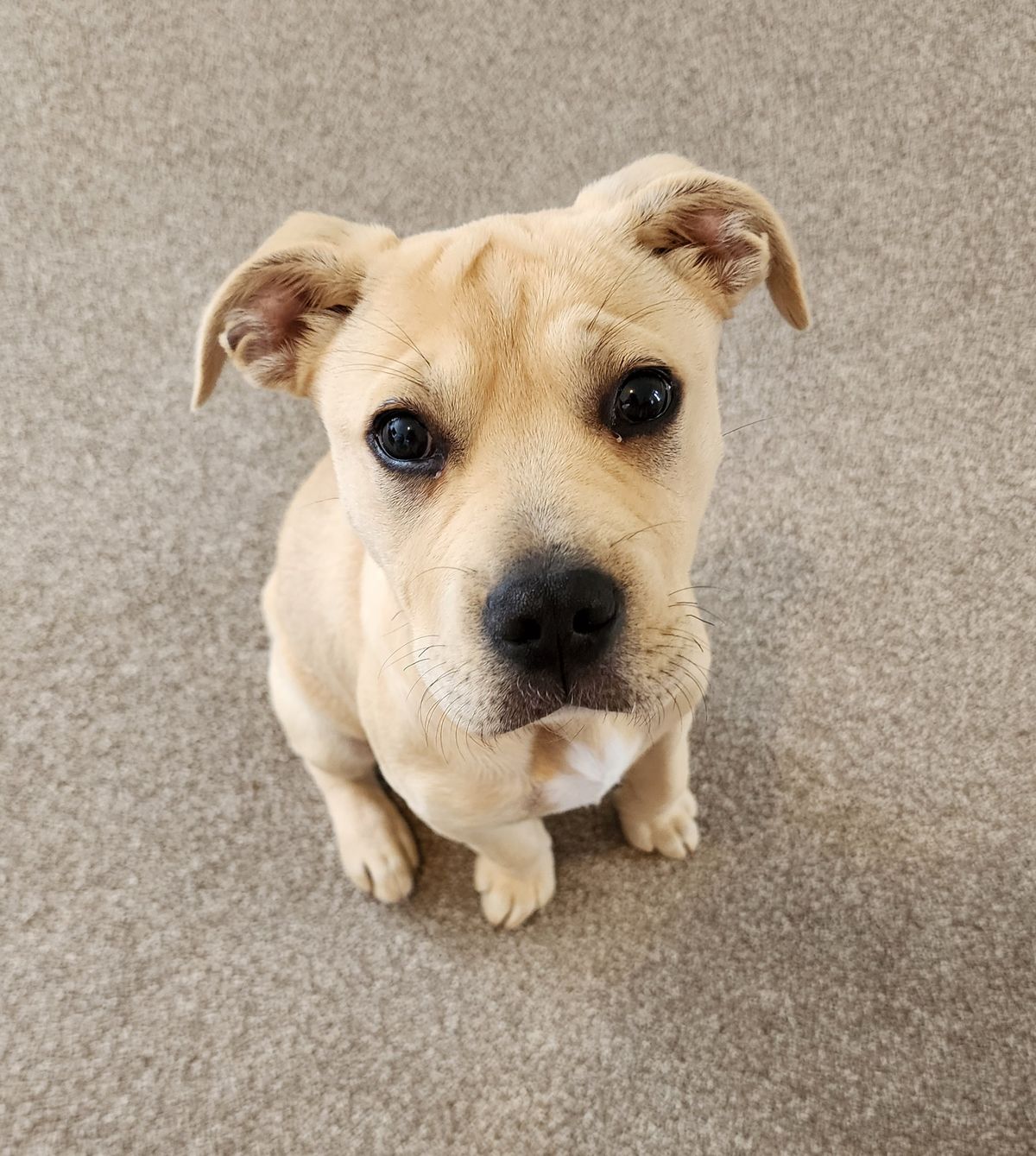 Gallery image: Kelly