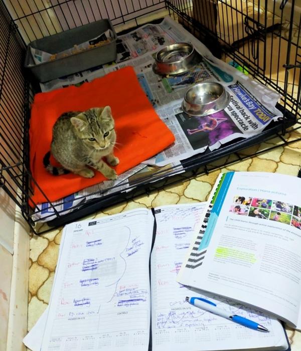 Empurress and foster