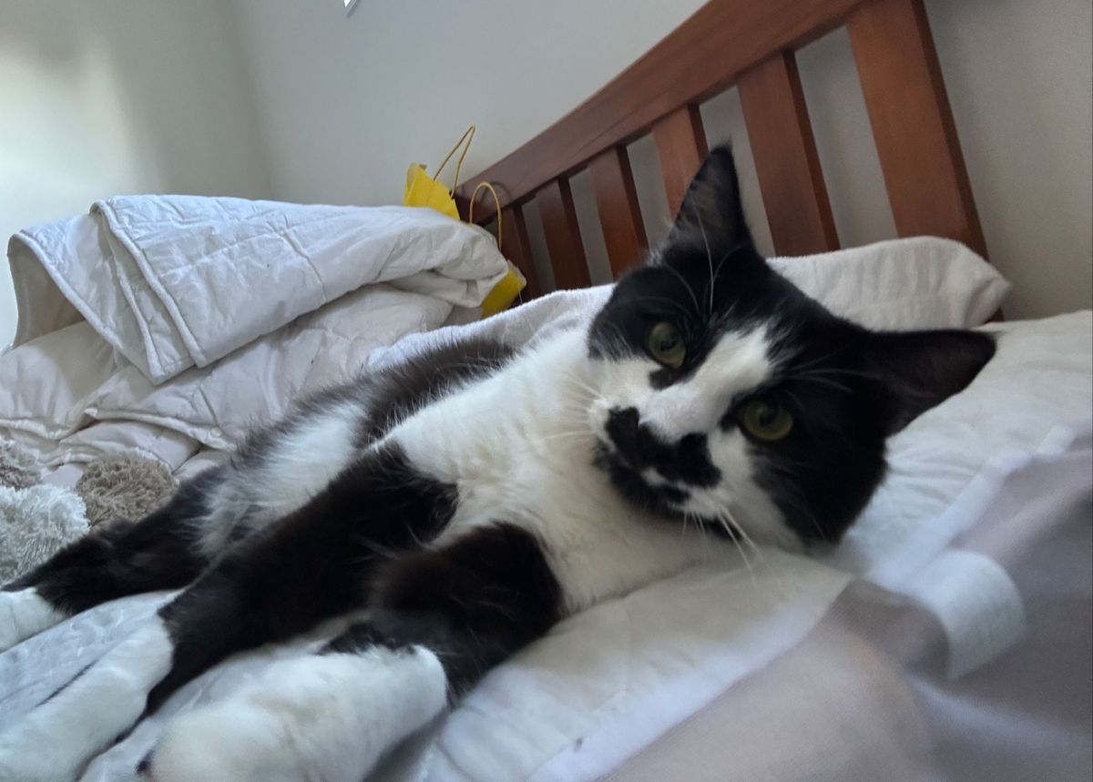 Gallery image: Zigzag