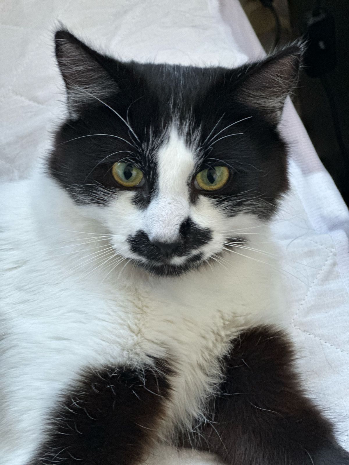 Gallery image: Zigzag