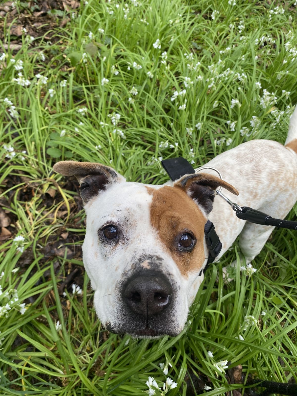 Gallery image: Lily-Rose