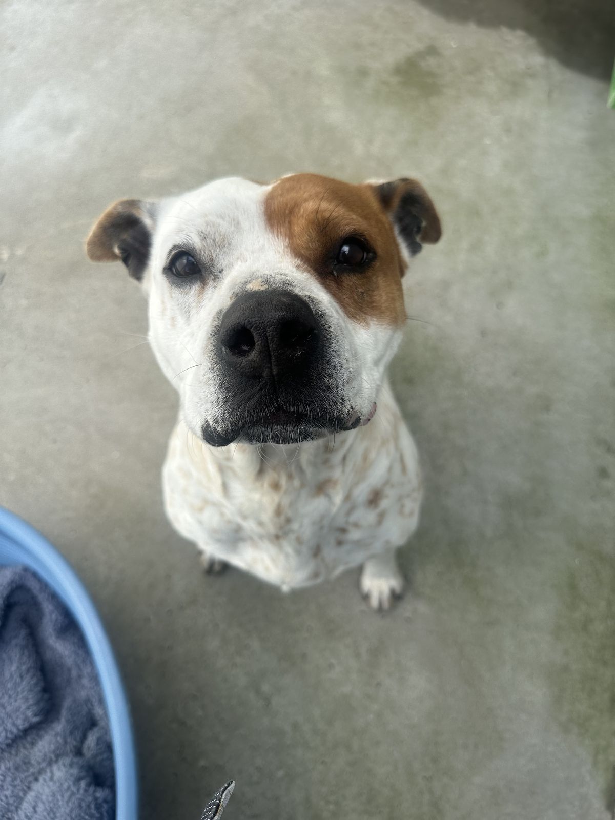 Gallery image: Lily-Rose