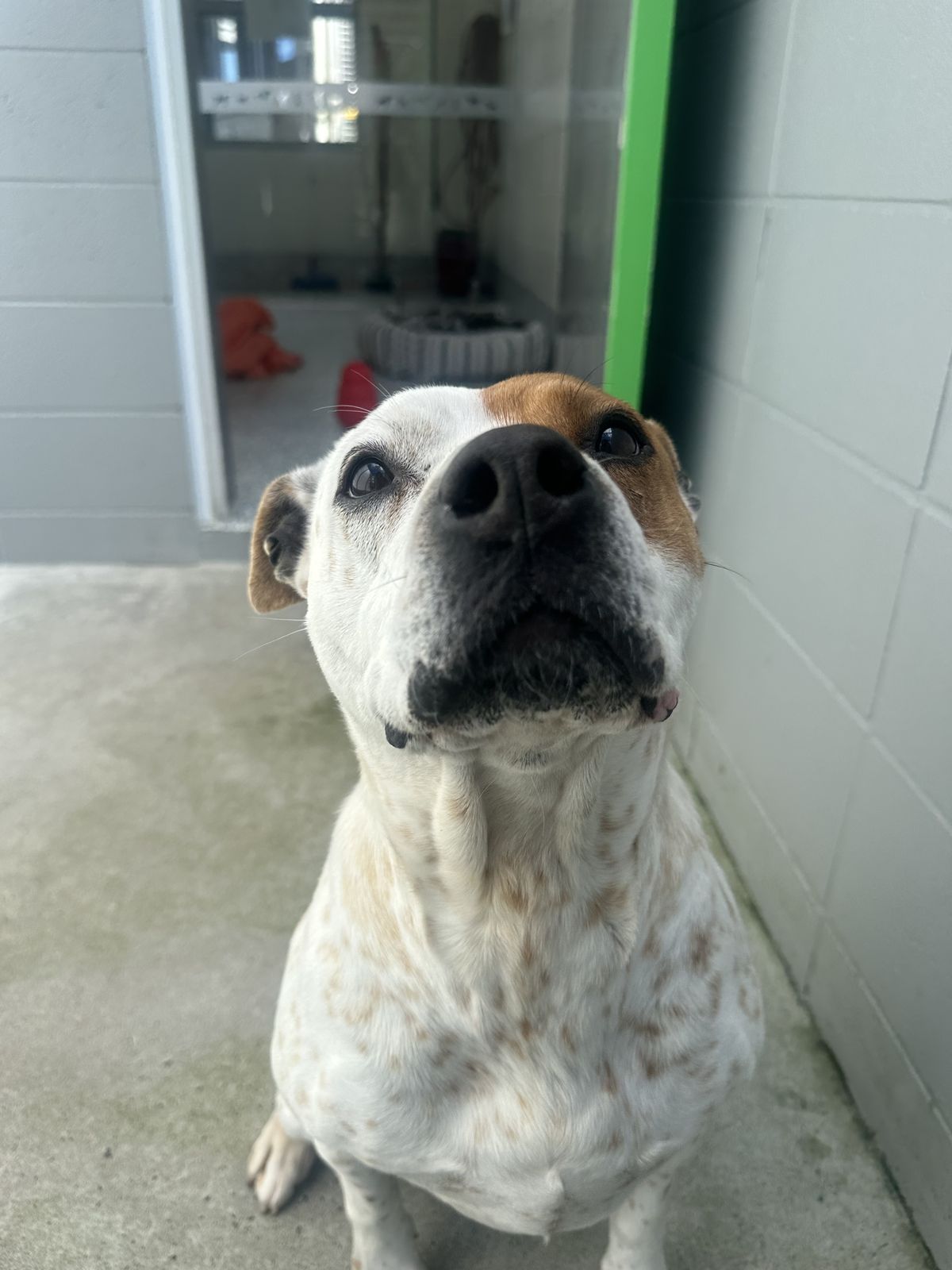 Gallery image: Lily-Rose