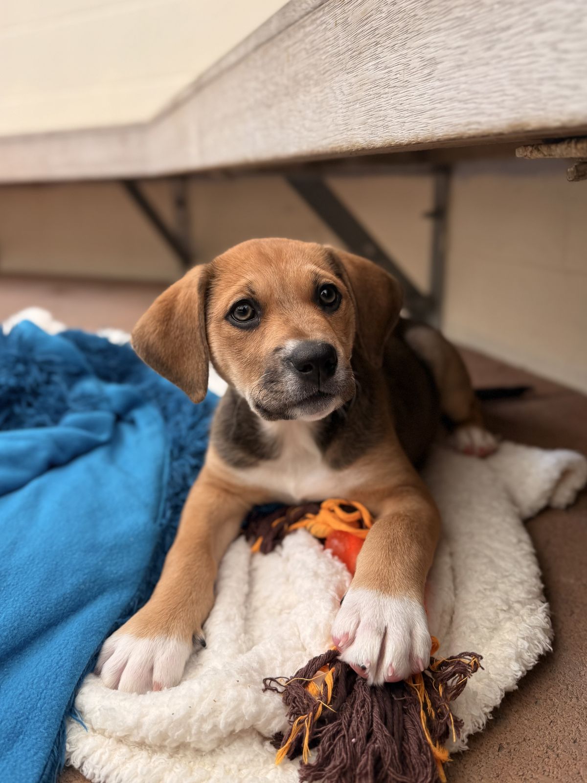 Gallery image: Winnie