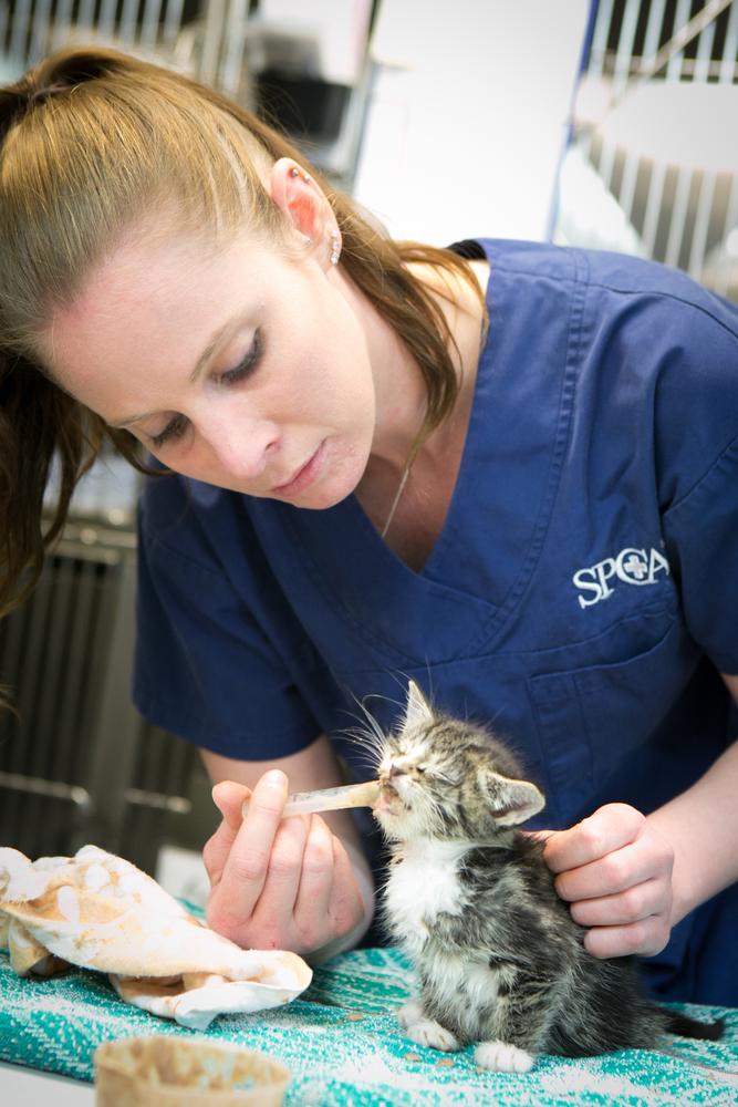 Gallery: Rehabilition