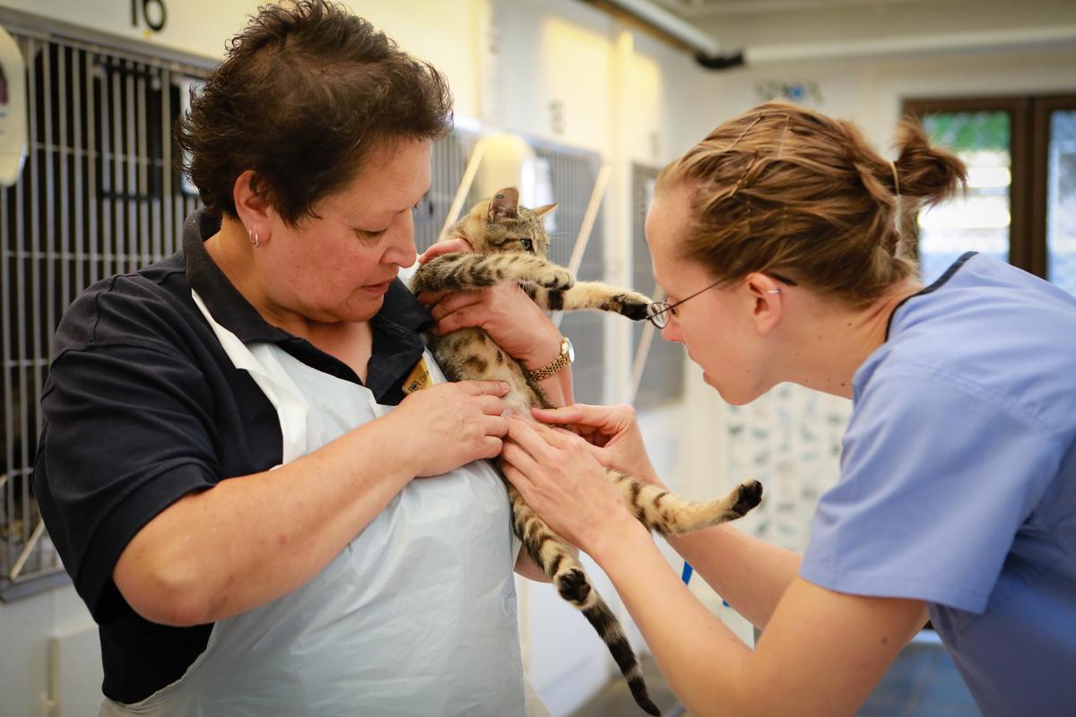 Gallery: Rehabilition