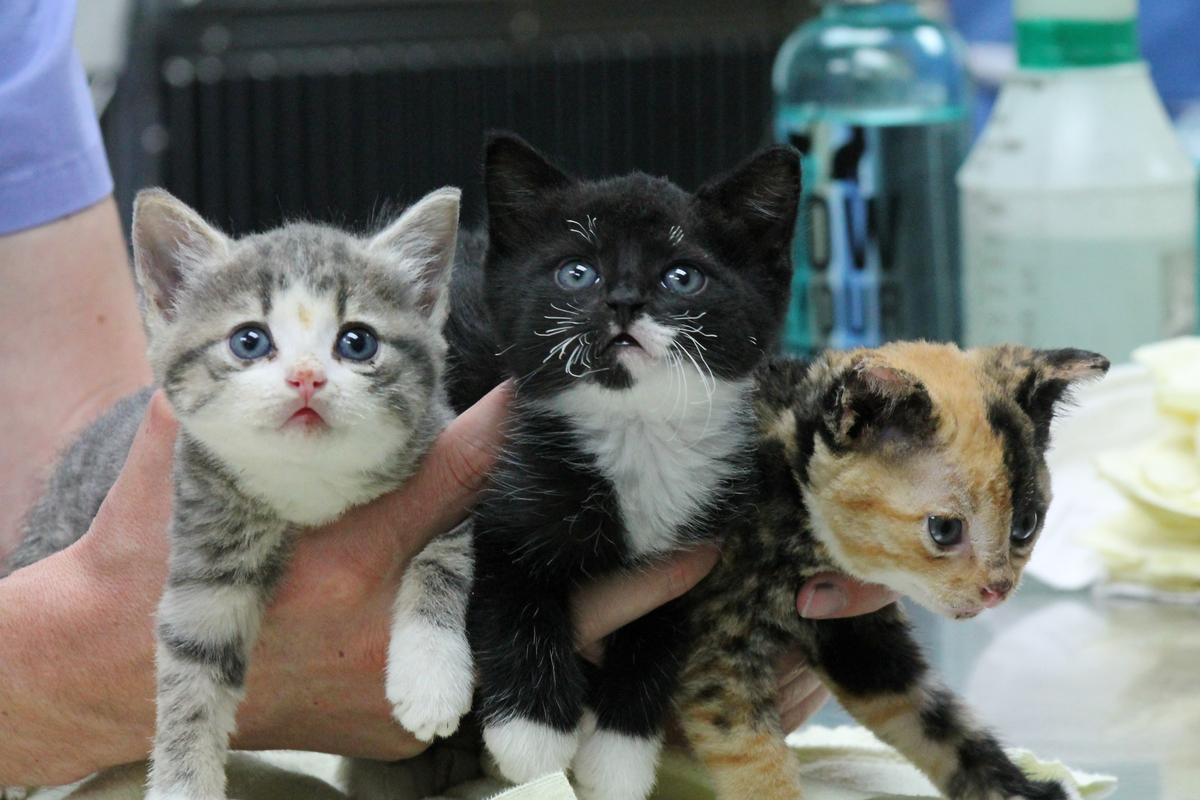 Gallery: Seek Justice