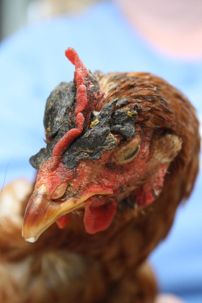 Gallery: Seek Justice