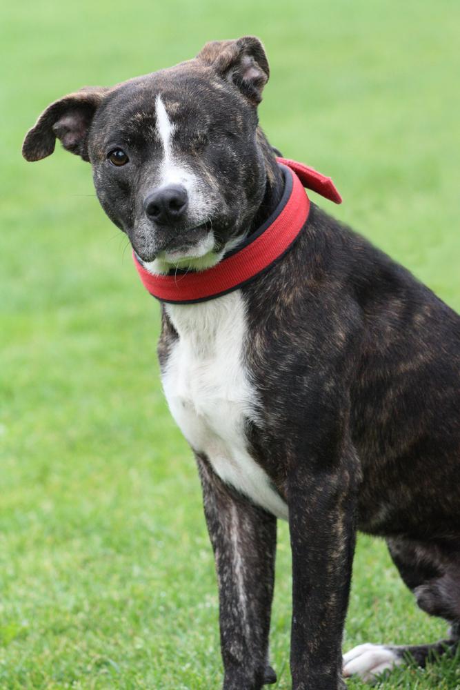 Gallery: Seek Justice