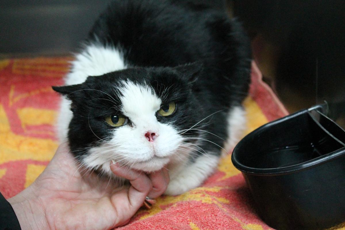 Gallery: Seek Justice