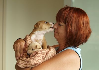 Foster parent - dogs and puppies