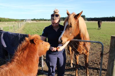 Equine foster parent